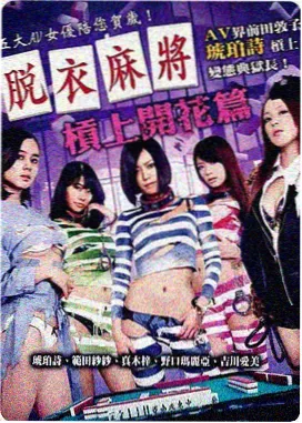 母亲的手记 剧集连播